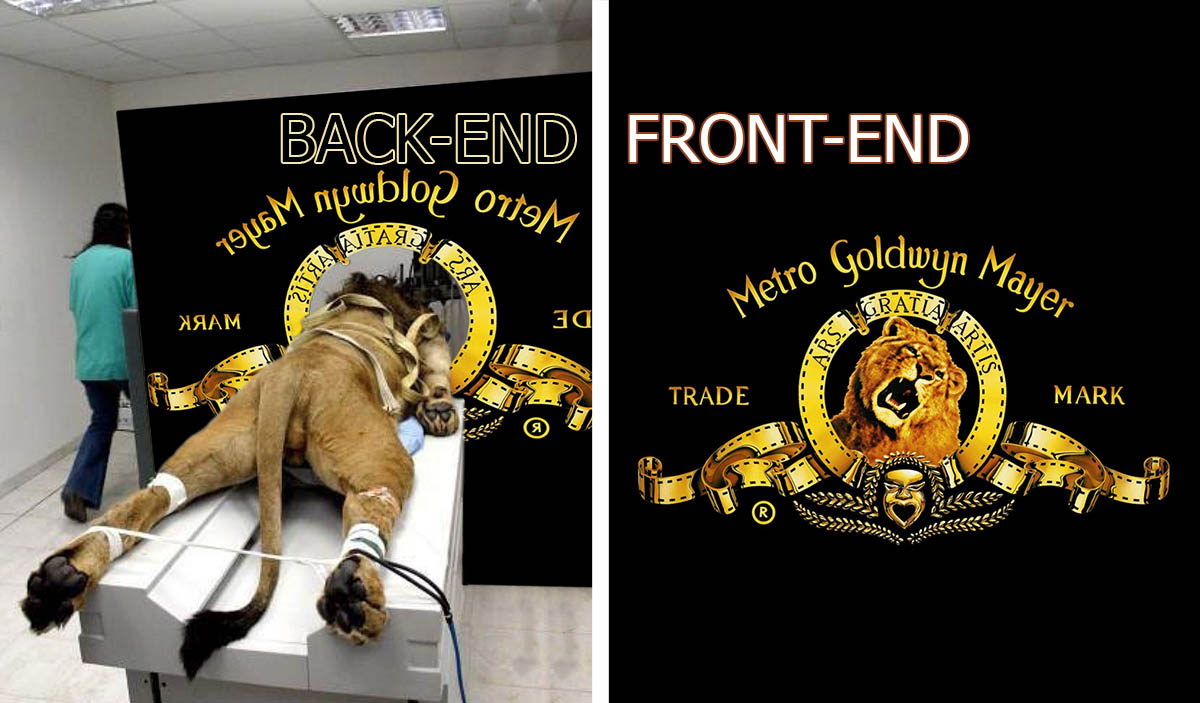 Lions front and back photos demonstrate frontend and backend development 